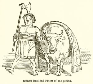 Roman Bull and Priest of the Period