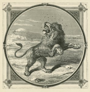 The Gnat stings the eyes of the Lion