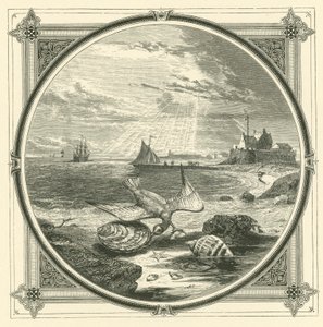The biter bitten by John Leighton