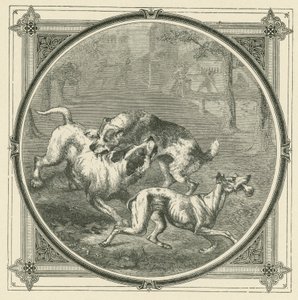 The dogs and the bone by John Leighton