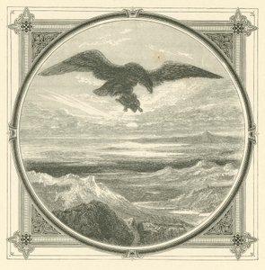 The higher the rise the greater the fall by John Leighton