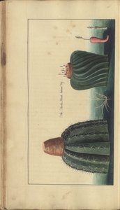 A page from the 