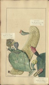 A page from the 