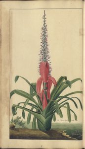A page from the 