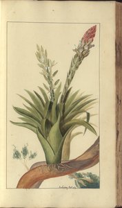 A page from the 