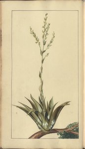 A page from the 