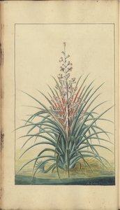 A page from the 