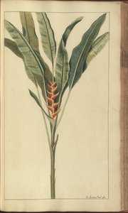 A page from the 