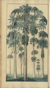 A page from the 