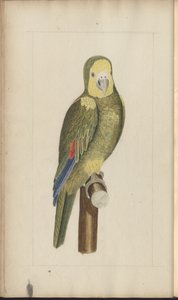 A page from the 