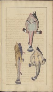 Lindsay Drawings Vol. VII, 27 by John Lindsay