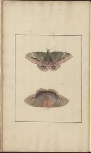 Lindsay Drawings Vol. VI by John Lindsay