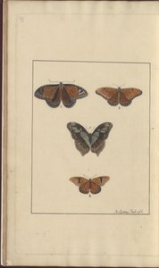 Lindsay Drawings Vol. VI, 29 by John Lindsay
