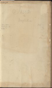 Lindsay Drawings Vol. VI, frontispiece by John Lindsay