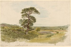 A Landscape in Snowdonia with a Tree in the Foreground by John Linnell