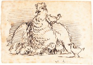 Hens and Chicks