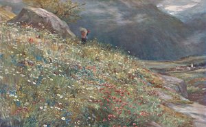 An Alpine Meadow