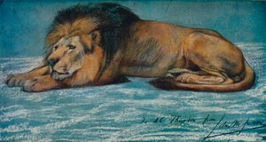 Pastel Study of a Lion, c1900