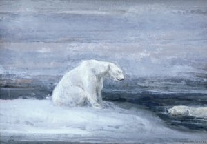 Polar Bears Watching for Seals at an Ice Hole