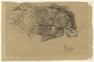Studies of a Leopard by John Macallan Swan