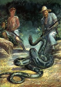 Swiss Family Robinson by John Millar Watt