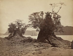 Islands in Limón Bay, 1871 by John Moran