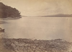 Tropical Scenery, Darien Harbor - Looking South by John Moran