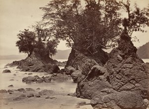 Tropical Scenery, Limon Bay - Low Tide, 1871
