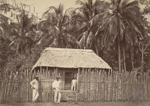 Tropical Scenery, Native Hut, Turbo, 1871 by John Moran