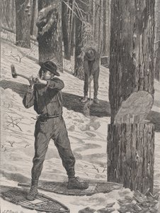Lumbering in Winter Every Saturday, Vol. II, New Series