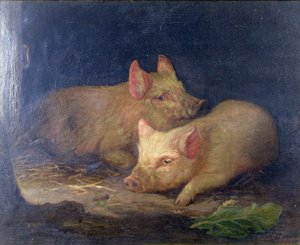 Two Prize Pigs in an Interior