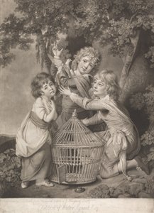 Children of Walter Synnot, Esquire