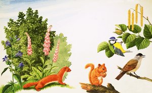 The Hazel Tree