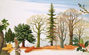 Trees in Winter