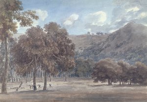 The Wooded Crater Bottom with Hunt in Progress
