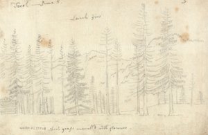 In the Tyrol by John Robert Cozens