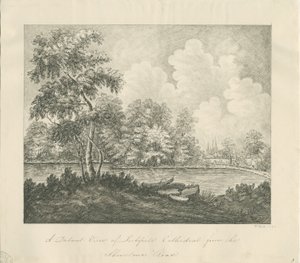 Lichfield Cathedral - West South West View (Distant) by John Robert Fernyhough