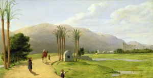 Asyut on the Nile, 1873