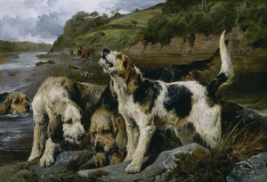 Otter Hunting, or On the Scent