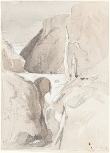 Gorge with Tree Stumps