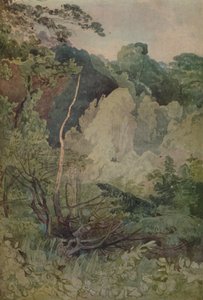 Trees Near The Greta River by John Sell Cotman