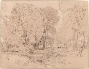 Wooded Landscape