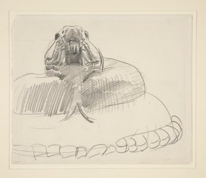 Rattlesnake by John Singer Sargent