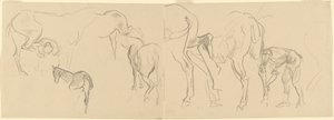 Studies for Shoeing Calvary Horses at the Front [recto], 1918 by John Singer Sargent