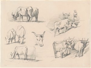 Studies of Cattle by John Singer Sargent