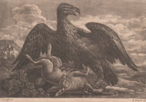 Eagle and Hare by John Smith