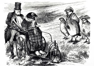 A Cartoon Commenting on the Suspension of Grouse Shooting to Allow the Stock to Rebuild. Illustrated by John Tenniel (1820-1914) an English Illustrator, Graphic Humourist, and Political Cartoonist by John Tenniel