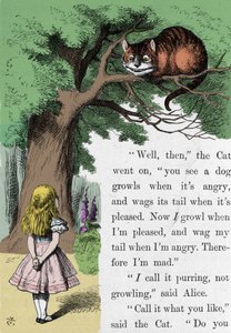Alice and the Cat, illustration by Sir John Tenniel for the first edition of Alice in Wonderland by English writer Lewis Carroll (Charles Lutwidge Dodgson) (1832-1898)
