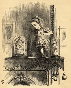 Alice in the Looking Glass House, illustration from 