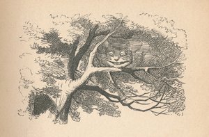 The Cheshire Cat Begins to Fade Away, Its Smile the Last to Go